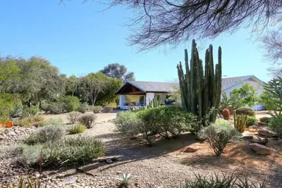 Image de Unique Private Desert Botanical Garden Property heart of Scw. it's a must C\n