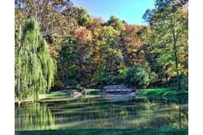 Image de large villa in lovely wooded area.