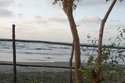 Image de Ocean Front Cabin