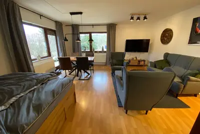 Image de Vacation apartment\/apartment for 4 guests with 55m² in Medebach (165615)