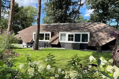 Image de Sprielderbosch 6 luxury holiday villa in forest near Garderen