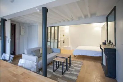 Image de 42 Sqm loft style apartment in Marais