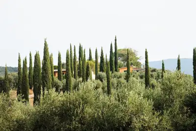 Image de Cozy vacation home \"Rosetta\" in the middle of a beautiful olive grove