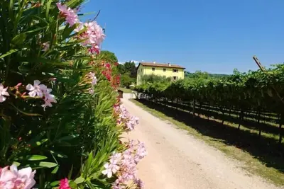 Image de Ca Bottrigo with 1 bedroom in the ground floor, with garden and pool