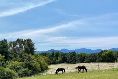Image de Horse Farm near Asheville 2/1 with Privacy!