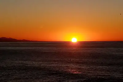 Image de Disconnect by the ocean