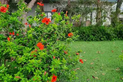 Image de Cactus Cottage, family holiday house with large backyard 8 mins from Bosum Beach