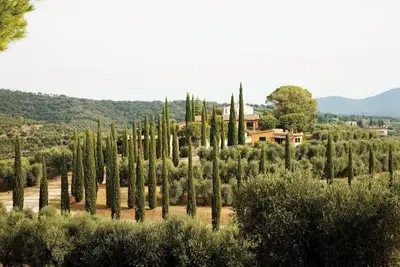 Image de Spacious vacation home \"Azzurrina\" in the middle of a beautiful olive grove