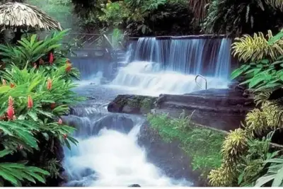 Image de Gorgeous and spacious private villa in La Fortuna with beautiful outdoor areas. \n