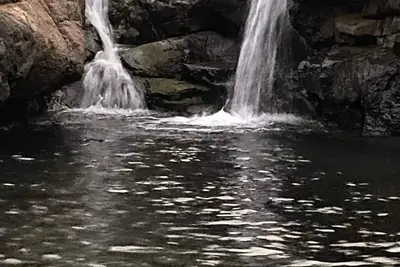 Image de Connected with Nature