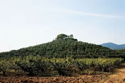 Image de 3 room apartment \"Africa\" with a breathtaking view of the Tuscan coast