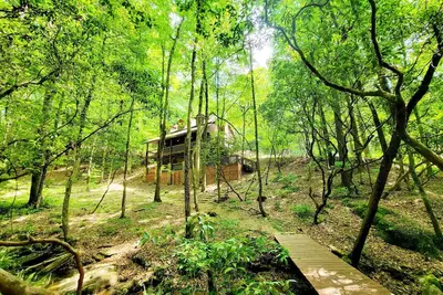 Image de Ruhewald Cabin - Hot Tub, 3 Creeks w/Waterfalls, Remote