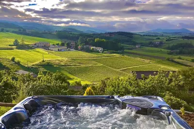 Image de Magnifique villa luxe piscine-spa-vue panoramique vignes