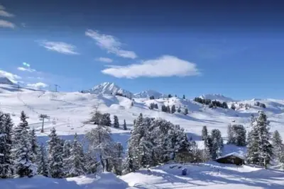 Image de Pied des pistes de ski, 2ème étage, vue pistes de ski, balcon, télévision, casier à ski, 23m²