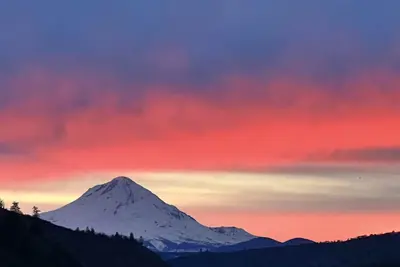 Image de Luxury idyllic guesthouse w/ Mt Hood views, patio w/gas fire-pit, and gardens!