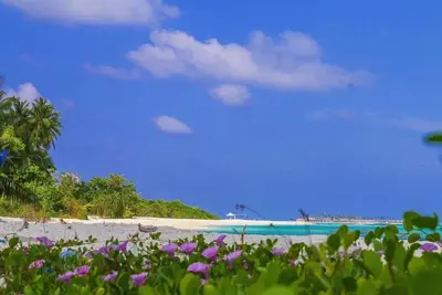 Image de Private villa