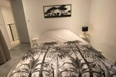 Image de ⭐️Magnifique Duplex en plein coeur de Béziers⭐️