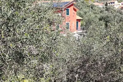 Image de Lavanda cottages country house with sea view in the middle of garden and olive grove