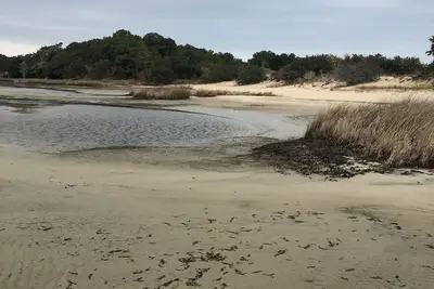 Image de Spectacular Views and Location - Sound and Dune Views (New)