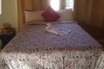 Amazing air conditioned cozy 1bdrm Apt with all modern amenities.