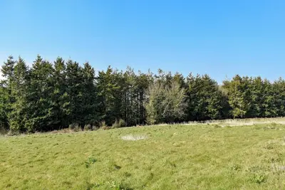Old Highwood - Piggy in the Middle