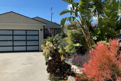 Image de Completely Renovated Mid Century Modern Home