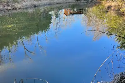 Image de Little Bear Cabin @ Rrg-Dog Friendly-Hot Tub & Pond!