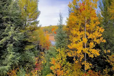Image de Cozy, spacious cabin. Great for fishing & snowmobiling!