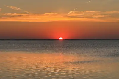 Image de Bay Front Oasis, Magnificent Views, Kayaking/Fishing/Clamming, Swans