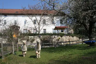 Image de Large, rustic apartment on a farm with a view of the castle