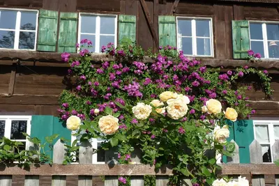 Image de Vacation apartment Sommerfrische