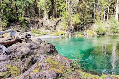 Image de New Home W\/ Gym, Sauna & Game Room near Olympic National Park.