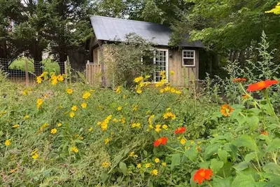 Image de Creek View Cabin at Skipwillow Farm