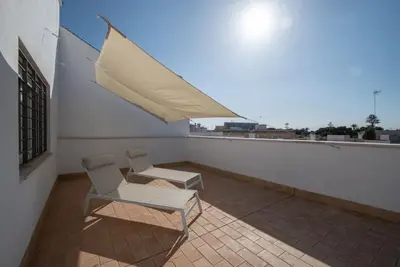 Image de Terrasse de l'Araucaria - Cadix