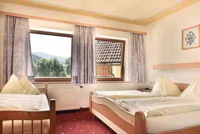 Image de Double room with shower, Wc - Gasthof Neuwirt