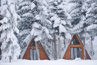 Image de Cabin in the forest, near to ski lift, provide breakfast and dinner