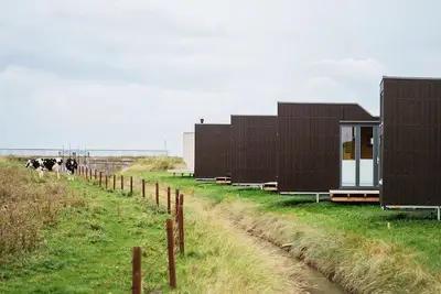Image de Sustainable overnight experience in the Green Tiny House Nature on the North Sea
