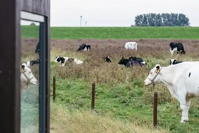 Image de Sustainable overnight experience in the Green Tiny House Nature on the North Sea