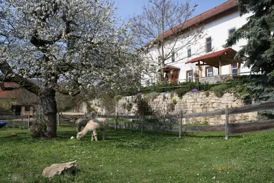 Image de Appartement de vacances Camburg pour 1 - 4 personnes avec 1 chambre Ă coucher - Maison de vacances