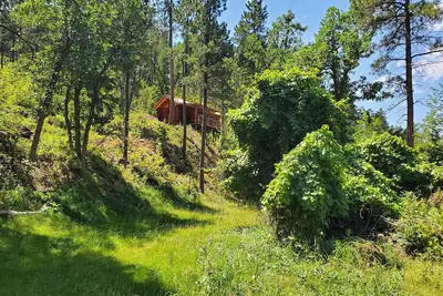 Image de Cozy Cabin nestled in the Trees!