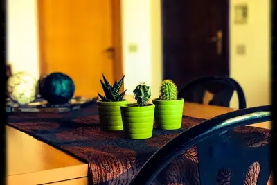 Image de Bright three-room Apartment in Tourist Resort