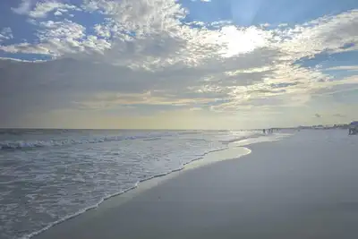 Image de Parrot's Paradise- Seacrest 404