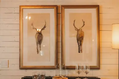Image de Stylish Hill Country cottage 3 blocks to Main