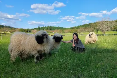 Image de Ferme des Petites Oreilles: Gîte classé 4 *, animaux et nature. Idéal familles