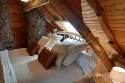 Image de Cabane suspendue dans les arbres