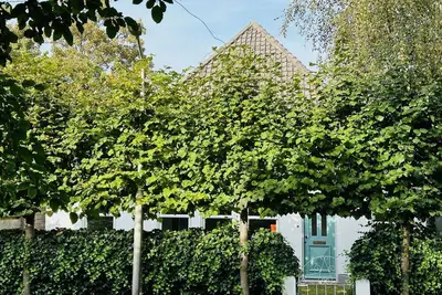 Image de Neu: Charmantes Ferienhaus in Schönster Lage in Bergen