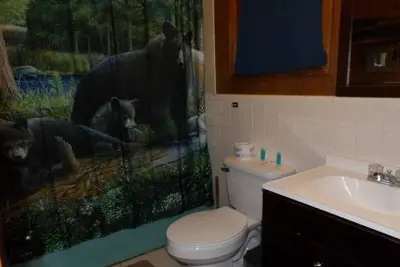 Image de Ponderosa Cabins 104 N Laurel cabin 12