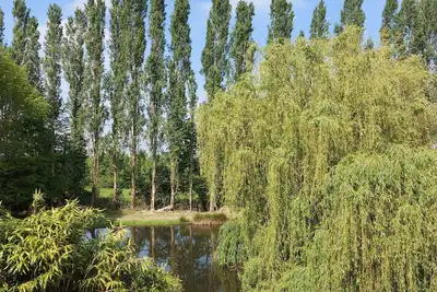 Image de Maison de campagne en pleine nature avec étang