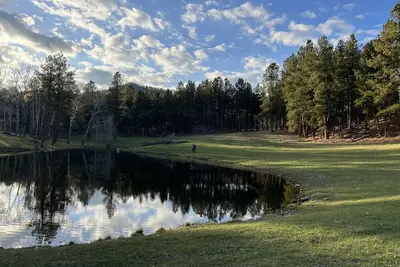 Image de Secluded getaway with private pond in the Black Hills, minutes from Custer!
