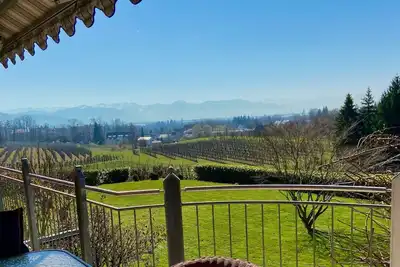 Image de Weinberg Idyll vacation apartment - Fantastic view over vineyards to Lake Constance